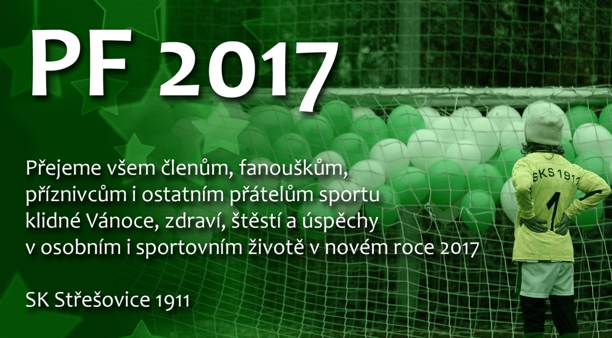 PF2017 SKS1911
