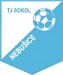Nebusice