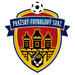 pfs novy 2012
